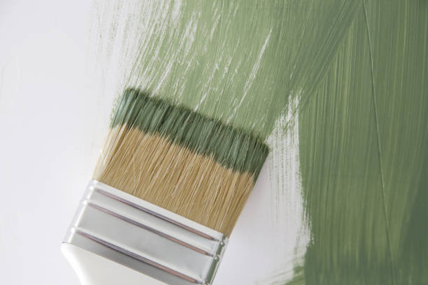 Trusted Collinsville, AL Mold Removal Experts
