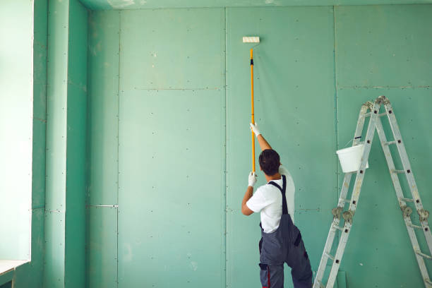 Best Attic Mold Removal  in Collinsville, AL