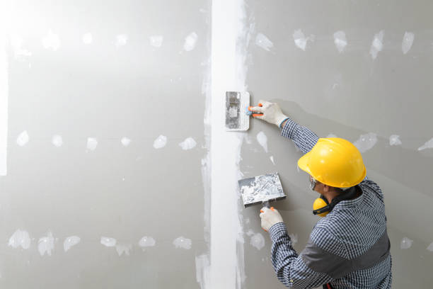 Professional Mold Removal in Collinsville, AL