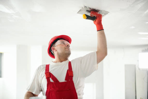 Best Airborne Mold Testing  in Collinsville, AL