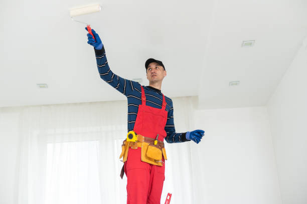 Best Real Estate Mold Inspection  in Collinsville, AL