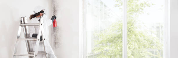 Best Forensic Mold Investigation  in Collinsville, AL